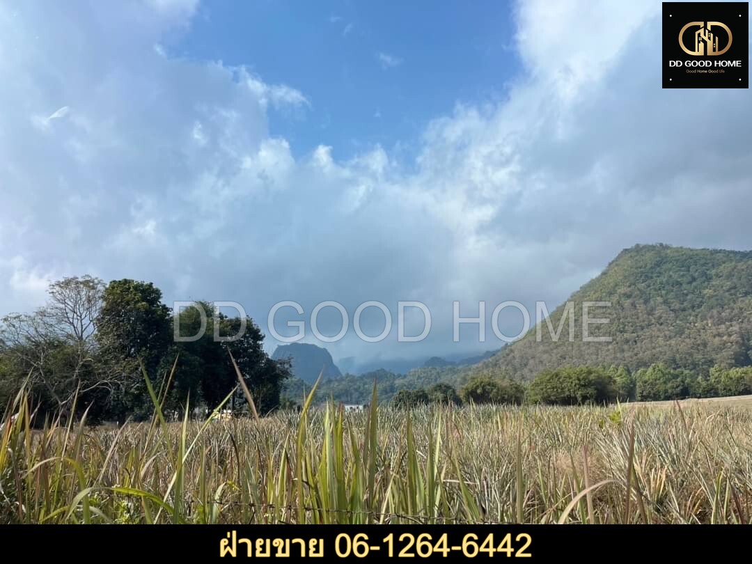 ขายที่ดิน ที่สวย เชียงราย 37 ไร่ ทำเลดีมากกกกกก